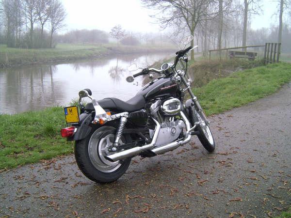 XL 883 Sportster Custom image